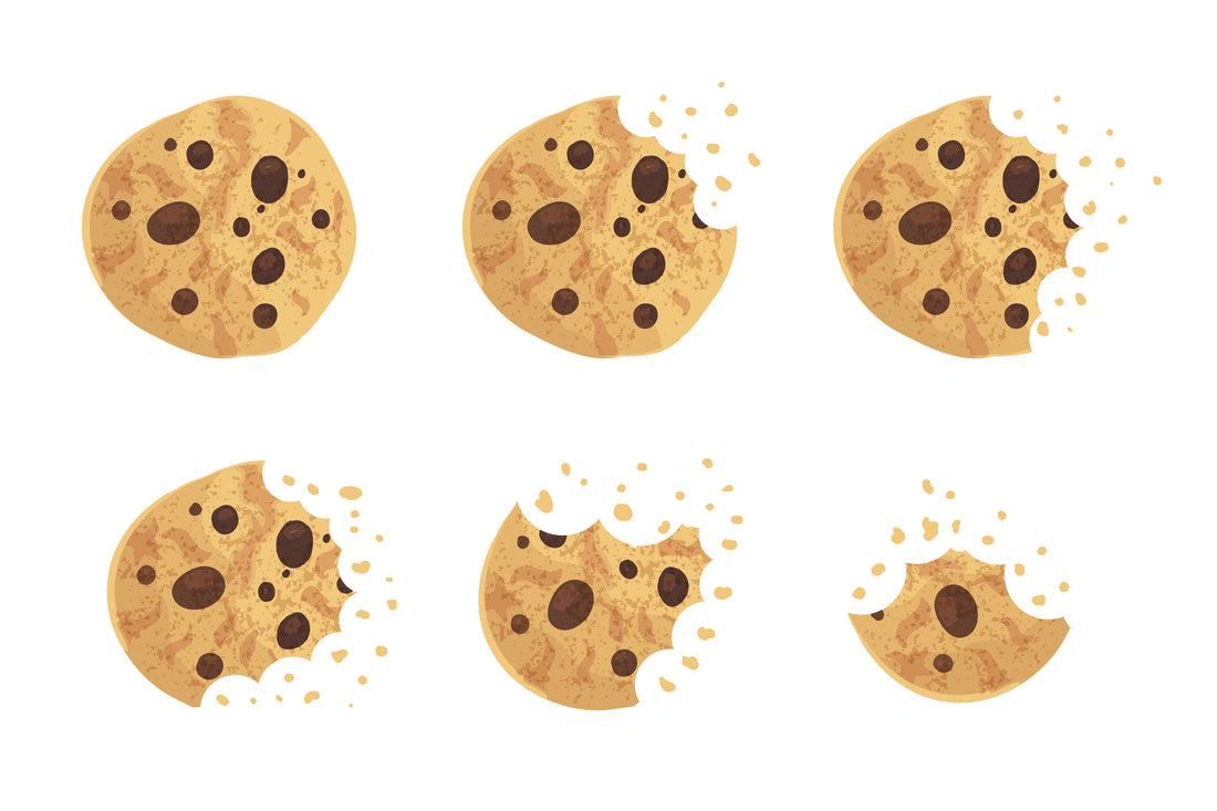 The Power of Email Marketing & First Party Data In a Cookie-Free World